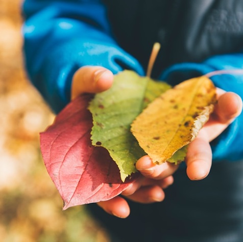 Outdoor Education in UK Schools