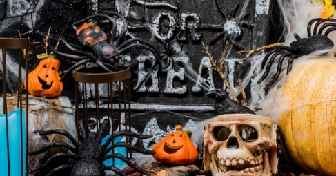 The Educational Magic of Halloween: Learning Fun Beyond the Scare