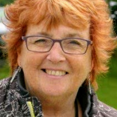 Susan H. - Teacher in Wrexham