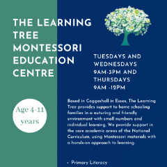 Tuition Centre The Learning Tree Montessori Education Centre - Tuition Centre in Colchester