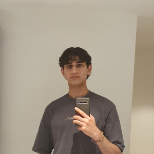 Emad R. - Tutor in Chesham