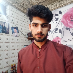 Zeeshan J. - Tutor in Lahore