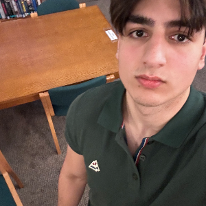 Aryan V. - Tutor in Isleworth